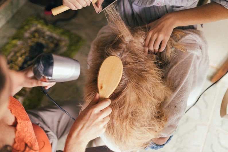 Pet Care - person pouring water on womans hair