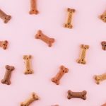 Pet Food - multicolored dog bone toys