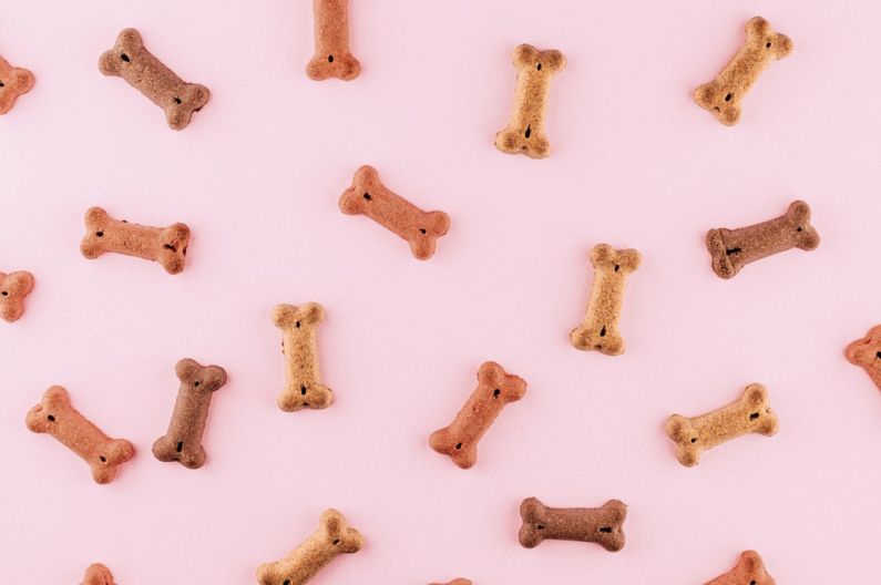 Pet Food - multicolored dog bone toys