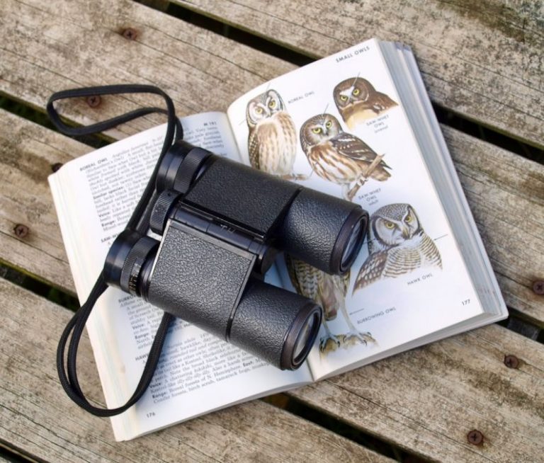 Binoculars Birds - black binoculars on opened book